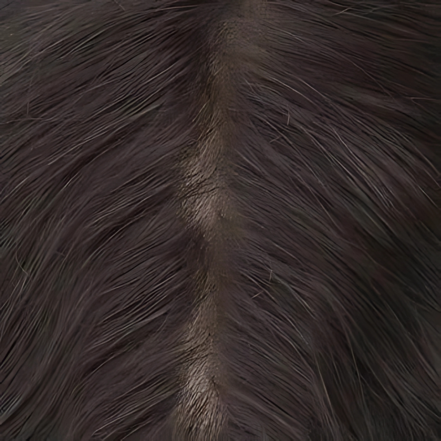 HR4 Skin Hair System for Men – 0.06mm PU Base | All-Over V-Loop Ventilation | Soft & Lightweight | Indian Human Hair | Non-Surgical Hair Replacement | Freestyle Natural Look